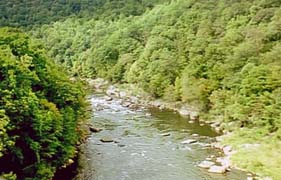 Northward on Yough from high trestle at Ohiopyle